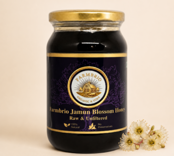Farmbrio Jamun Blossom Honey 500 ML | Raw & Unfiltered | Natural Dark Honey | No Preservatives (Copy)