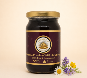 Farmbrio Premium Wild Flora Honey 500 ML | 100% Raw & Unprocessed Natural Honey | No Preservatives (Copy)