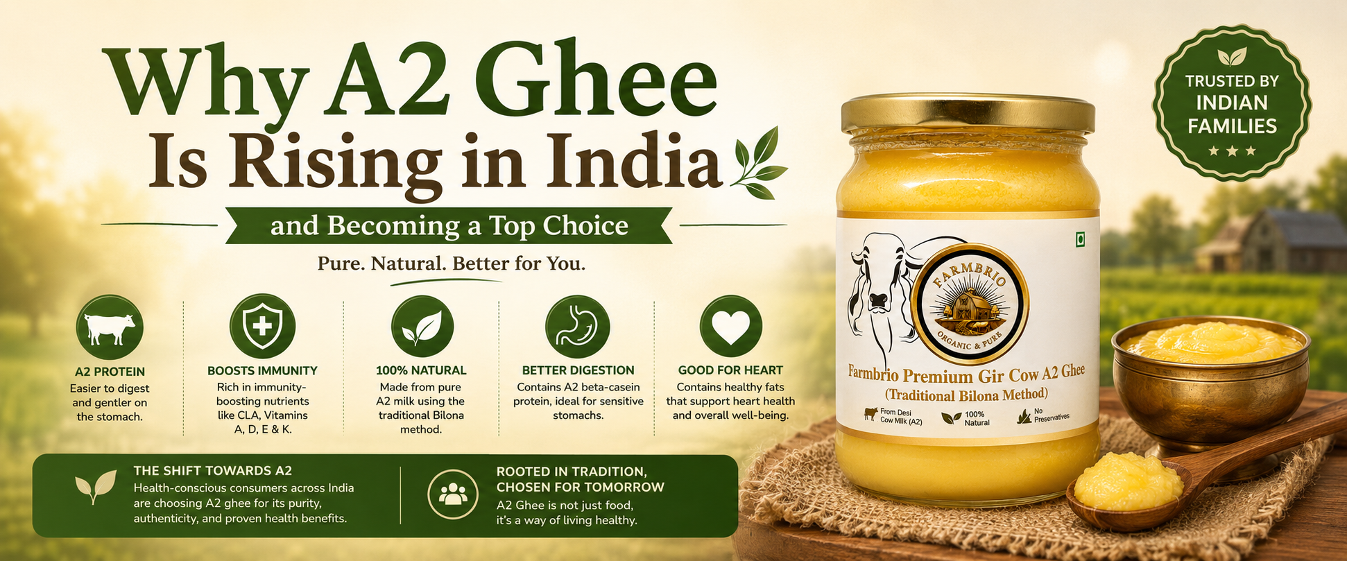 Why A2 Ghee Is Rising in India and Becoming a Top Choice